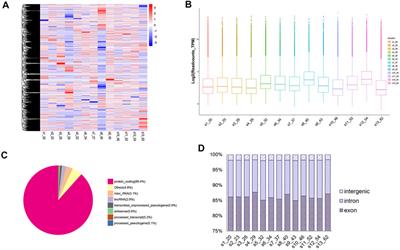 Circular RNA as a Potential Biomarker for Forensic Age Prediction